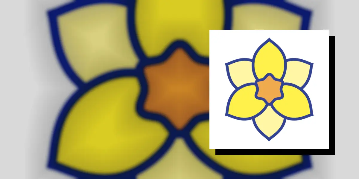 Daffodil Race